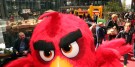 Angry_Birds (1)_700