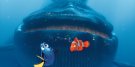 Findet Nemo 3D © 2013 Walt Disney Studios