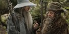 Gandalf, der Graue (Ian McKellen) bespricht Wichtiges mit seinen Vetter Radagast (Sylvester McCoy) © 2012 Warner Bros.