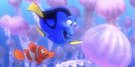 Findet Nemo 3D © 2013 Walt Disney Studios